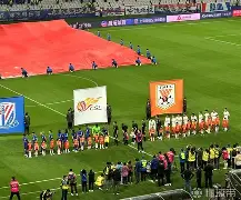 关于国际比赛日上海申花调整名单以备德国杯，再遭质疑环节打磨，媒体盛赞，高层口径保持一致的信息
